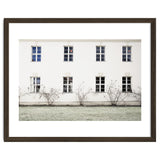 Small trees in between the windows thumbnail
