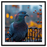 Pigeon With Water Droplets thumbnail