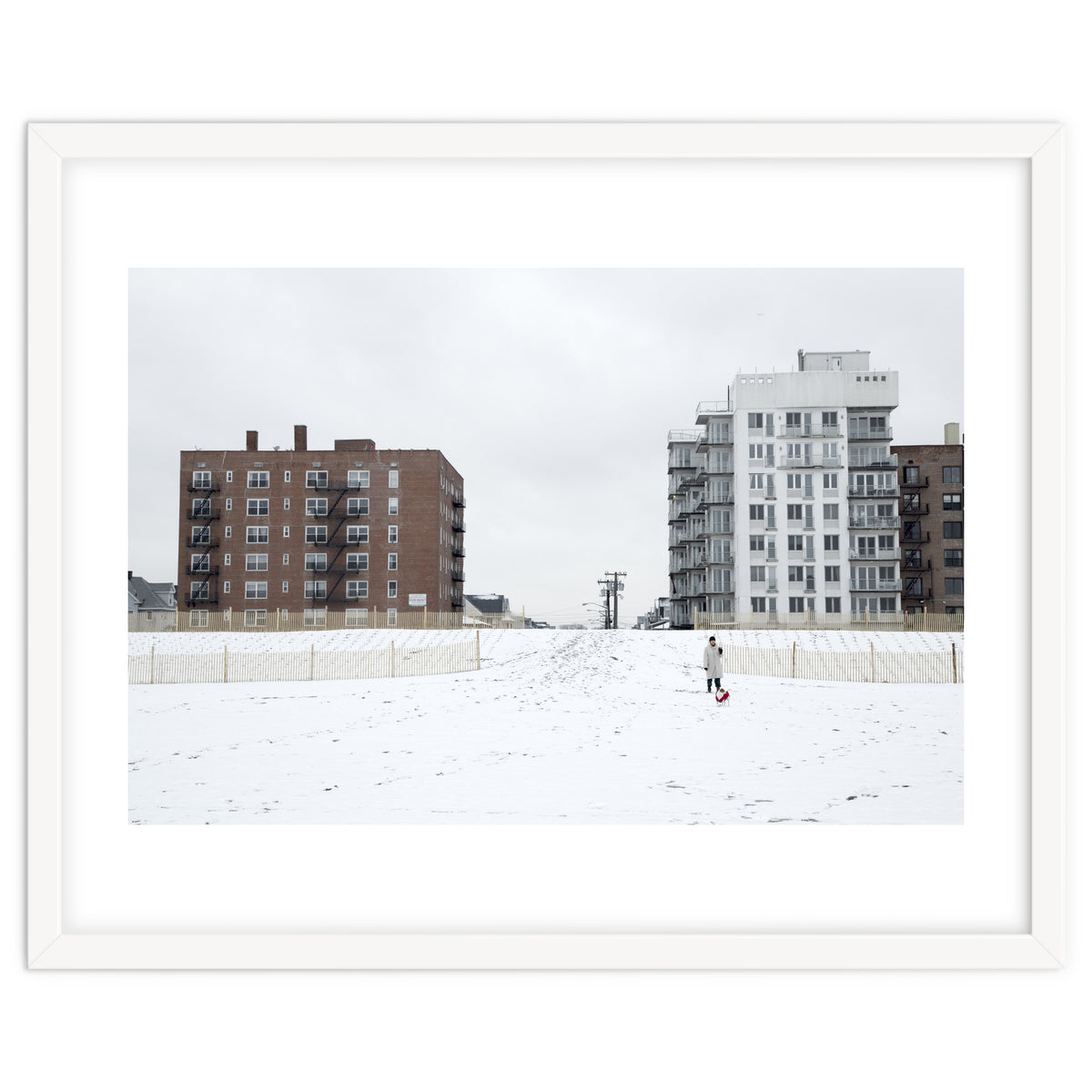 Walking with the dog on a snowy day