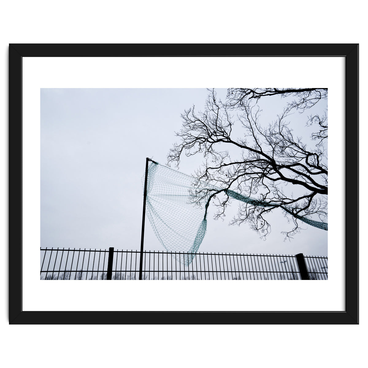 Net caught in a tree