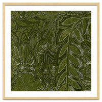 Forest Dense Foliage