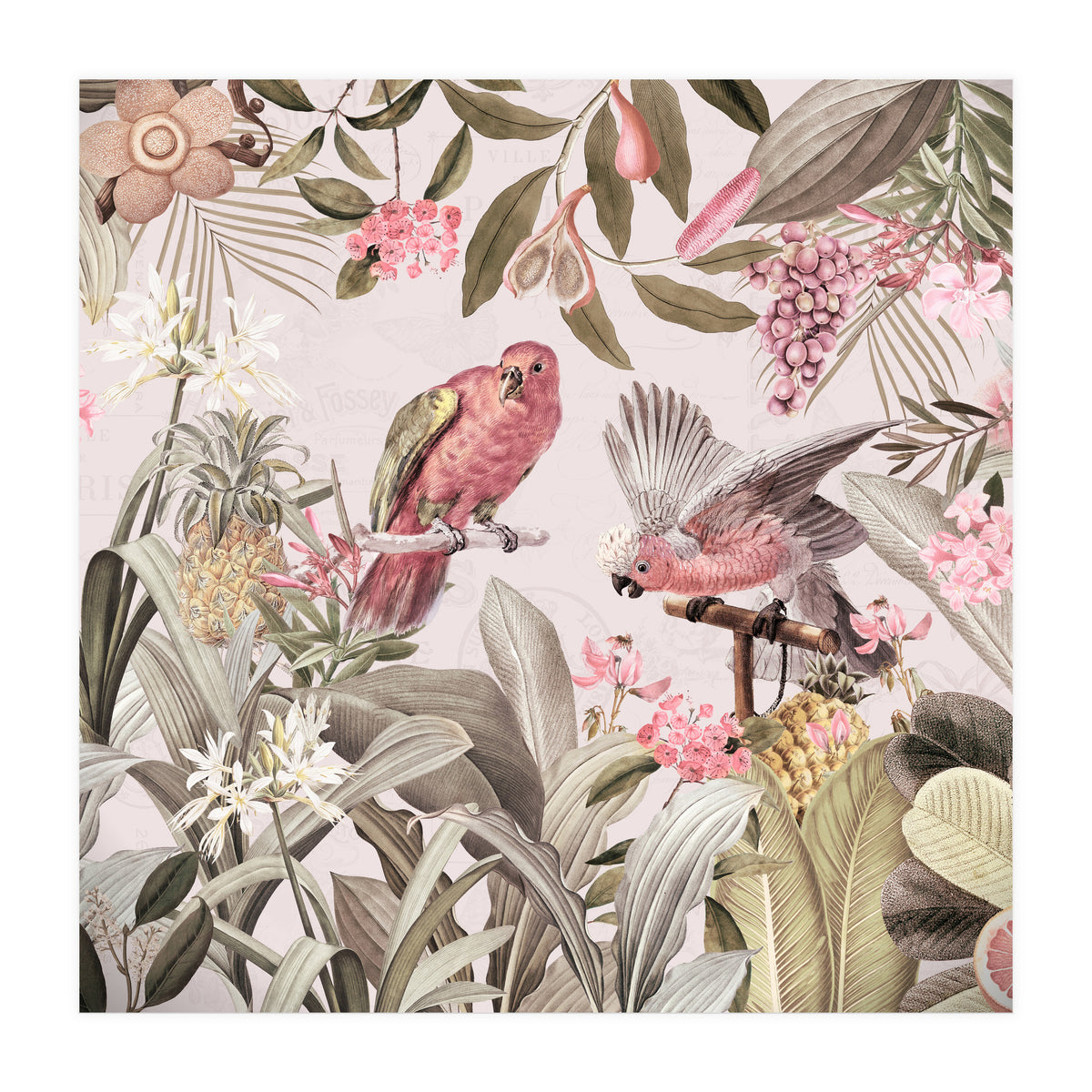 Colorful Parrots In Flower And Fruit Tropical Jungle (Print Only)