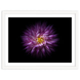 Backyard Flowers No 20 Color Flow Version thumbnail
