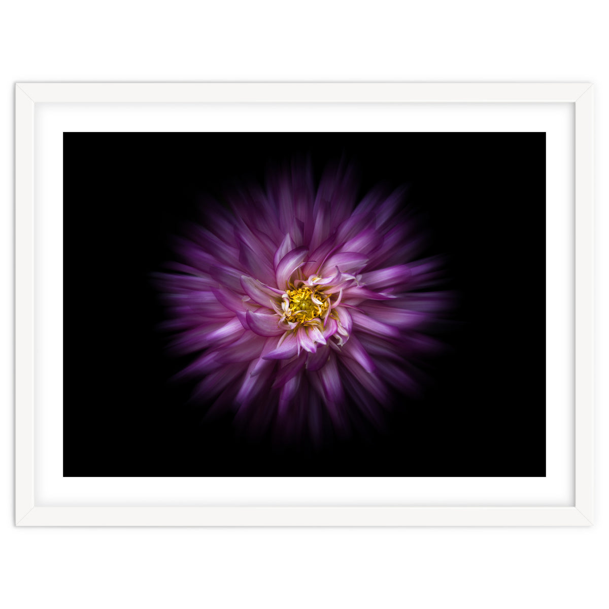 Backyard Flowers No 20 Color Flow Version