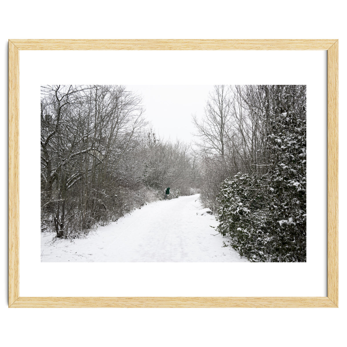 Walking through the snow park