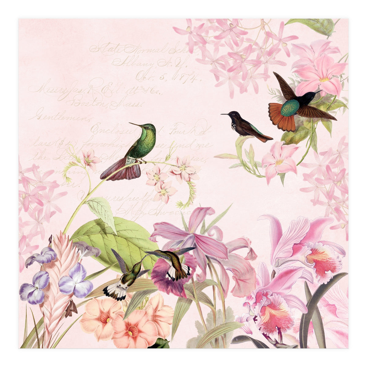 Hummingbirds in Flower Jungle  (Print Only)