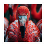 Close Up Flamingo Head With Bright Red Feathers (Print Only) thumbnail