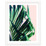 Palm V2 thumbnail