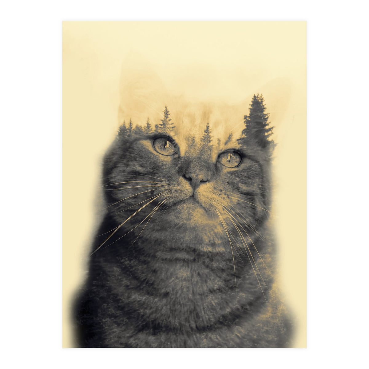 Cat double exposure (Print Only)