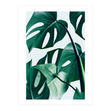 Monstera Tropical Photography Digital Art, Minimal Nature Jungle Botanical Leaves (Print Only) thumbnail