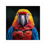Close Up Portrait Of A Colorful Macaw Parrot (Print Only) thumbnail