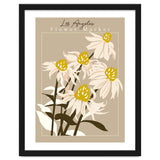 Flower Market Los Angeles Echinacea thumbnail