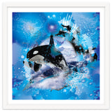 Orca thumbnail