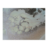 Shifting (Print Only) thumbnail