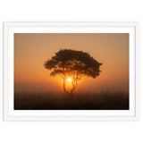 Tree at sunrise thumbnail
