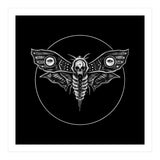 Deaths Head Moth (Print Only) thumbnail