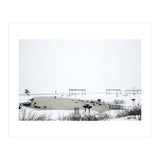 Blackbirds surrounding a frozen pond in winter (Print Only) thumbnail