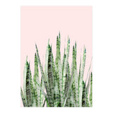 Botanical Balance (Print Only) thumbnail