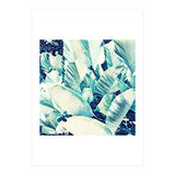Banana Leaf Crush (Print Only) thumbnail