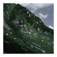 SKIN OF NATURE - WILD CLIFF (Print Only)