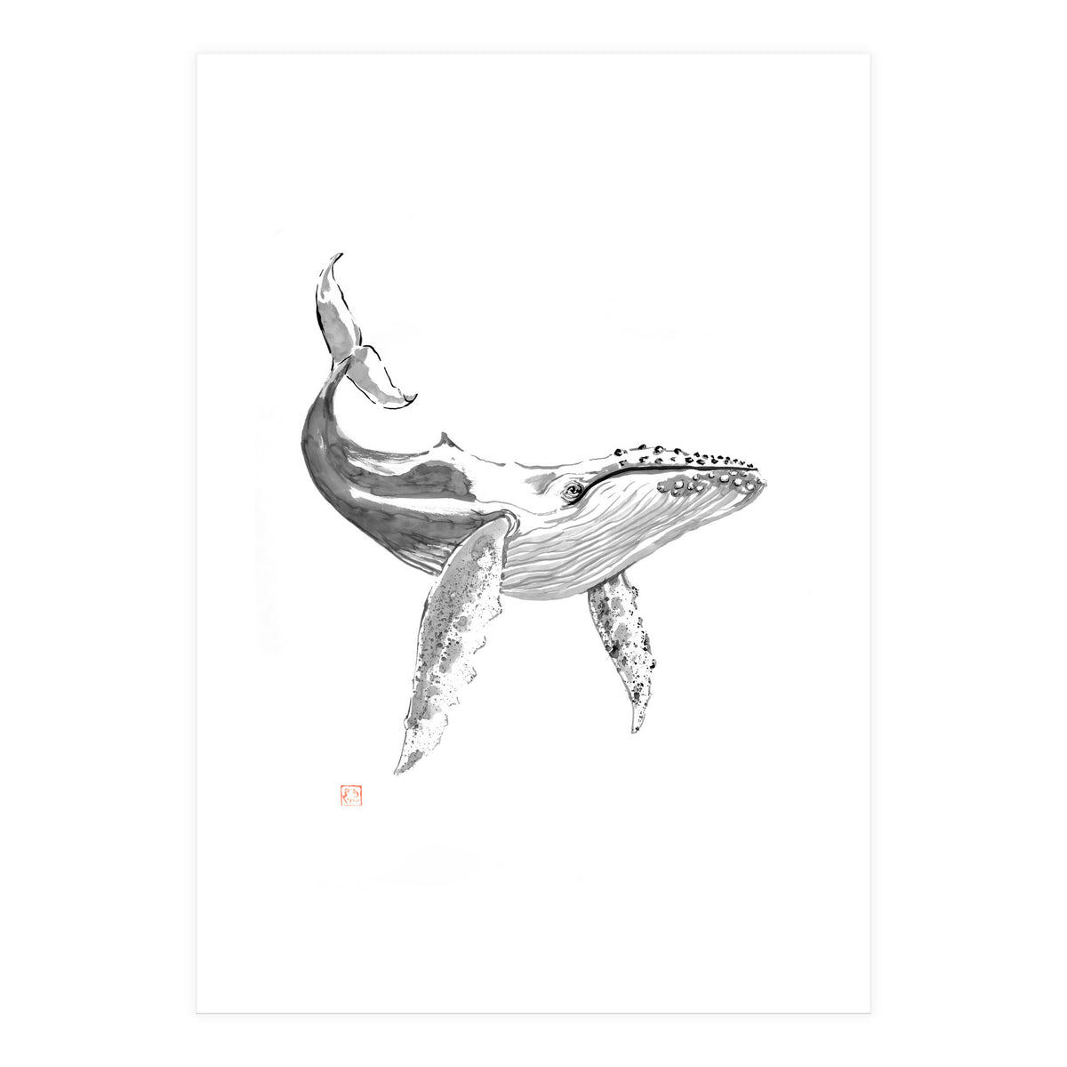 Whale (Print Only)