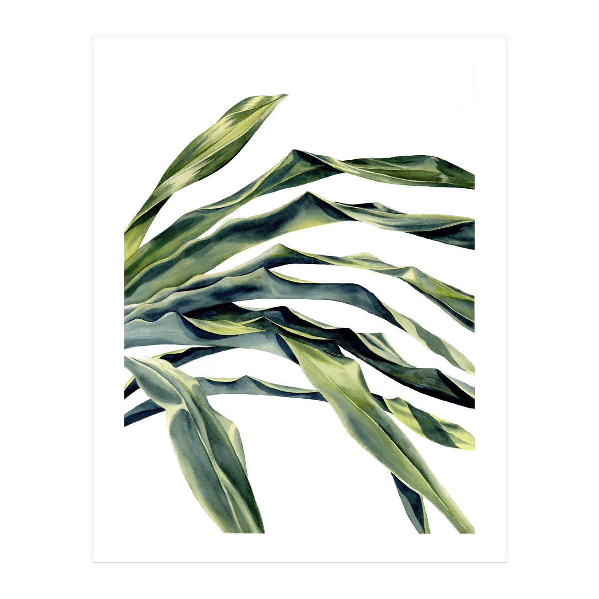 Green Palm Leaves (Print Only)