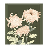 Flower Market Hong Kong Chrysanthemum (Print Only) thumbnail