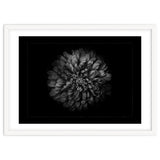 Backyard Flowers In Black And White No 68 with Border thumbnail