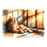 Cat Relaxing In Sunlight (Print Only) thumbnail