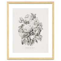 Currier & Ives – Rose of May (1870)