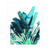 Aesthetic Dimensionality (Print Only) thumbnail