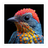 Close Up Of Colorful Bird With Water Droplets (Print Only) thumbnail