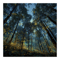 Celestial Forest Canopy with Swirling Golden Fireflies and Deep Twilight Blue Sky Digital Art (Print Only)