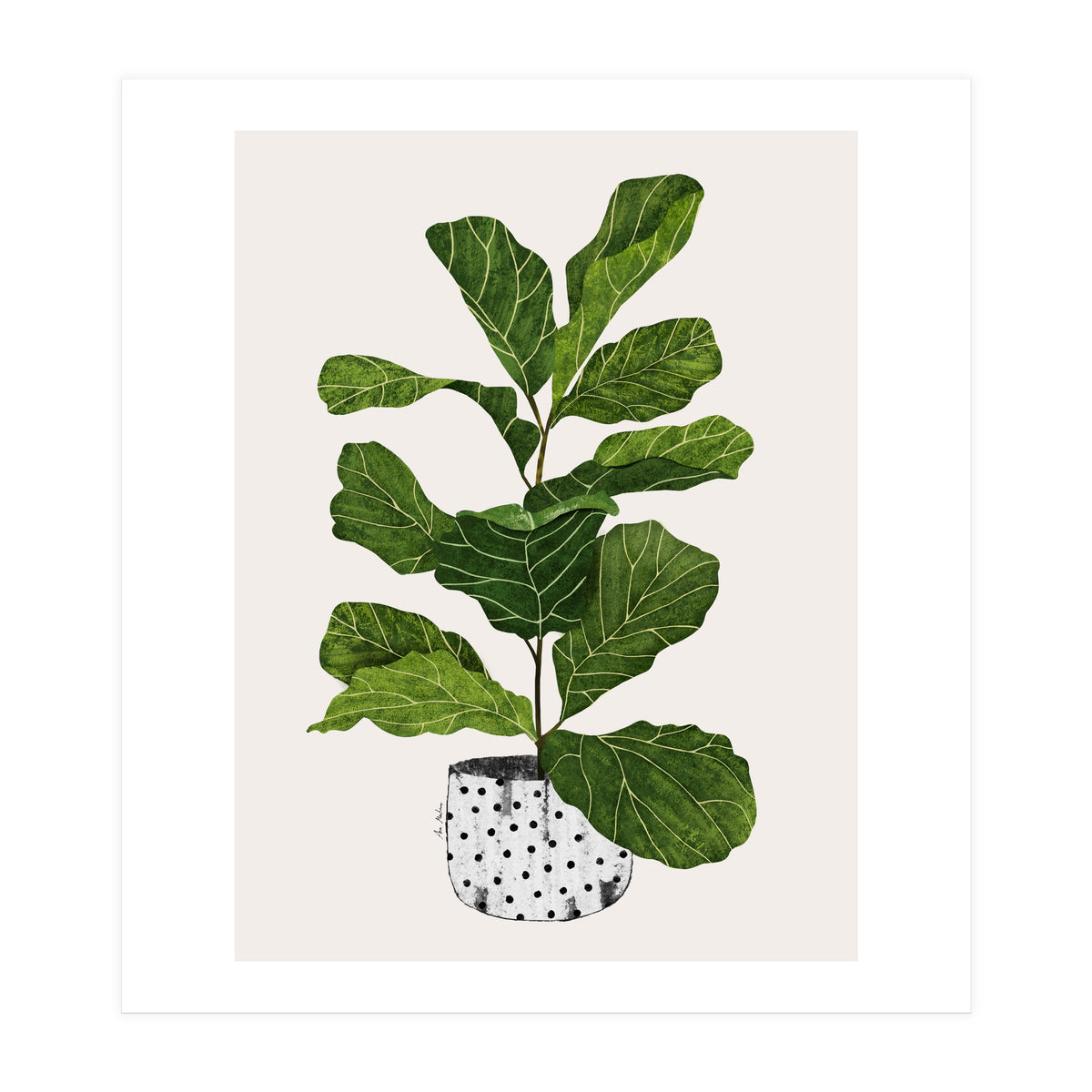 Fiddle Leaf Fig Tree Plant (Print Only)