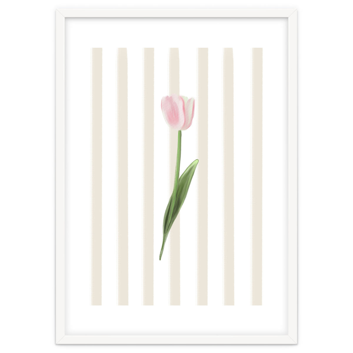 Single Tulip