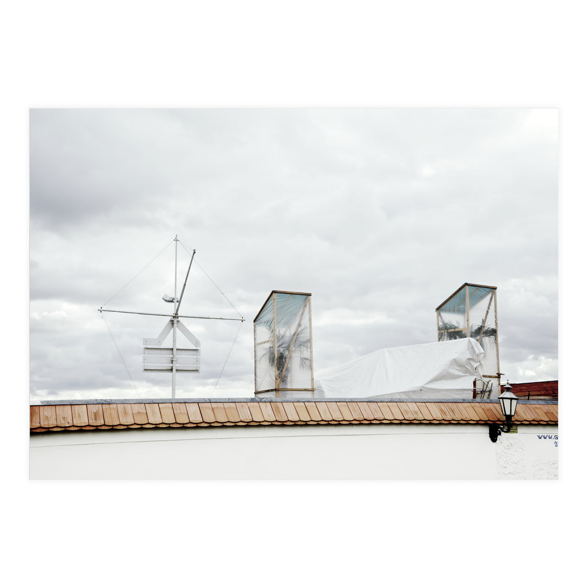 Palm tree waiting for summer (Print Only)