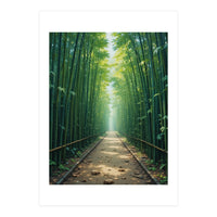 The Emerald Path: A Sun-Drenched Journey (Print Only)