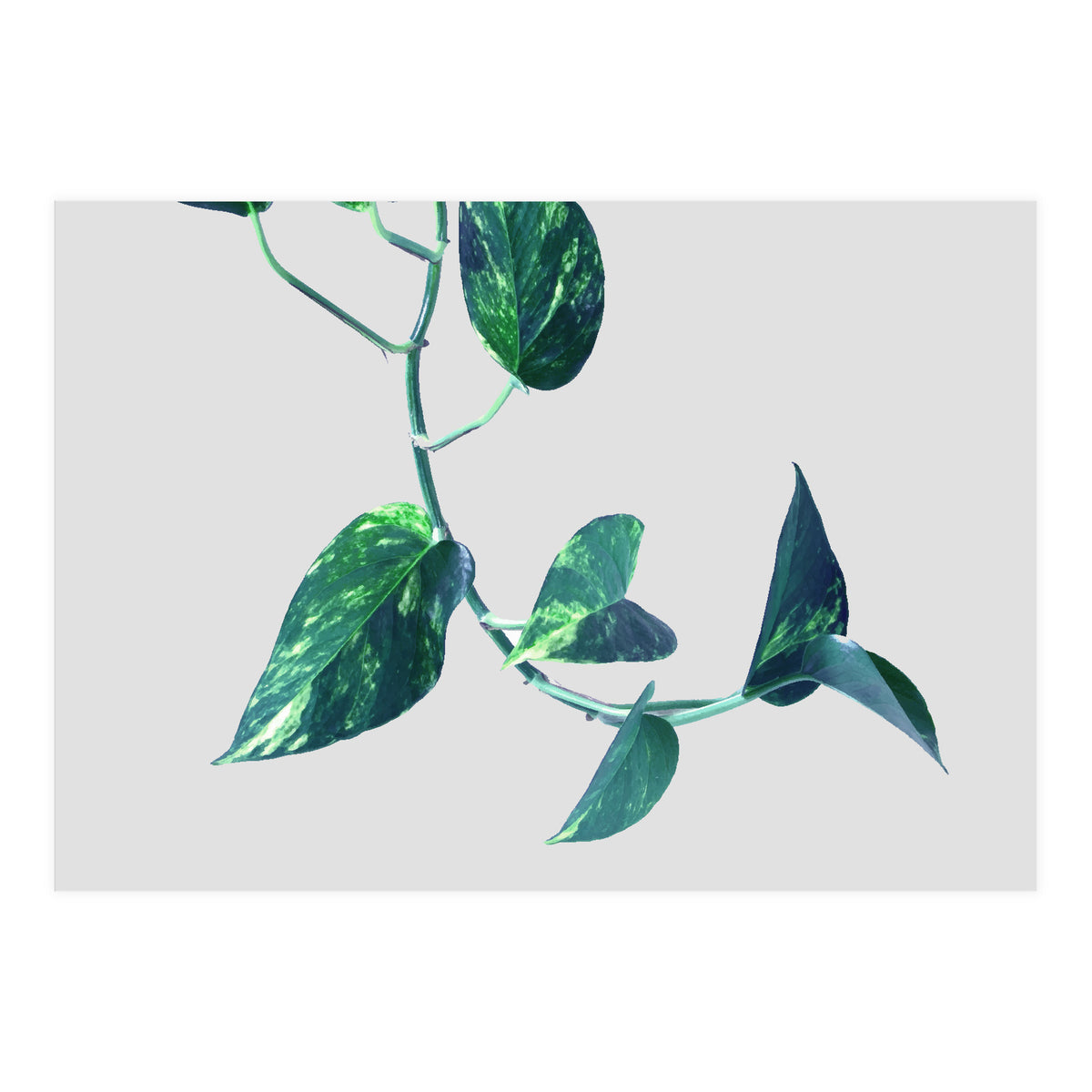 Projection & Emotion (Print Only)