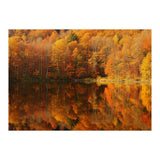 Autumn Reflections (Print Only) thumbnail