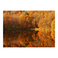 Autumn Reflections (Print Only)