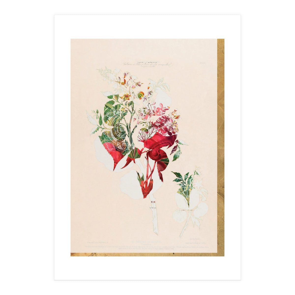 The First Plant · Aufbluehen (Print Only)