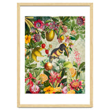 Toucan vintage jungle thumbnail