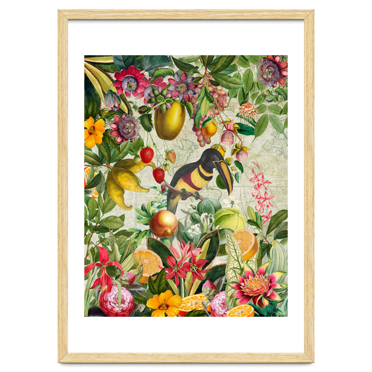 Toucan vintage jungle