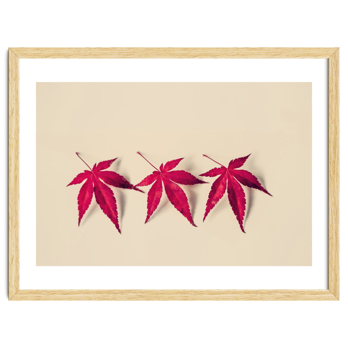 Dancing Leaves