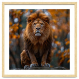 Majestic Lion Sitting On A Rock In Autumn Forest thumbnail