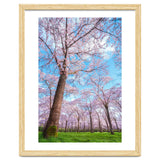 Spring in optima forma thumbnail