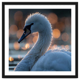 Close-up Shot of a Swan with Water Droplets thumbnail