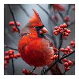 Northern Cardinal Bird Perched Among Red Berries (Print Only) thumbnail
