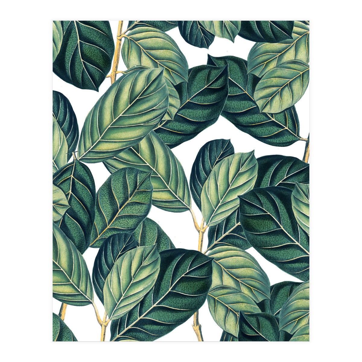 Botany #society6 #decor #buyart (Print Only)