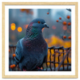 Pigeon With Water Droplets thumbnail